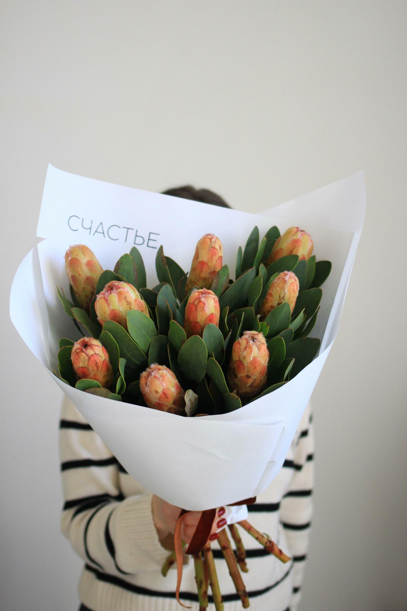 Моно протей