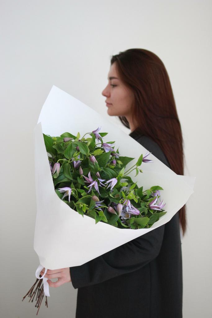 Моно клематиса