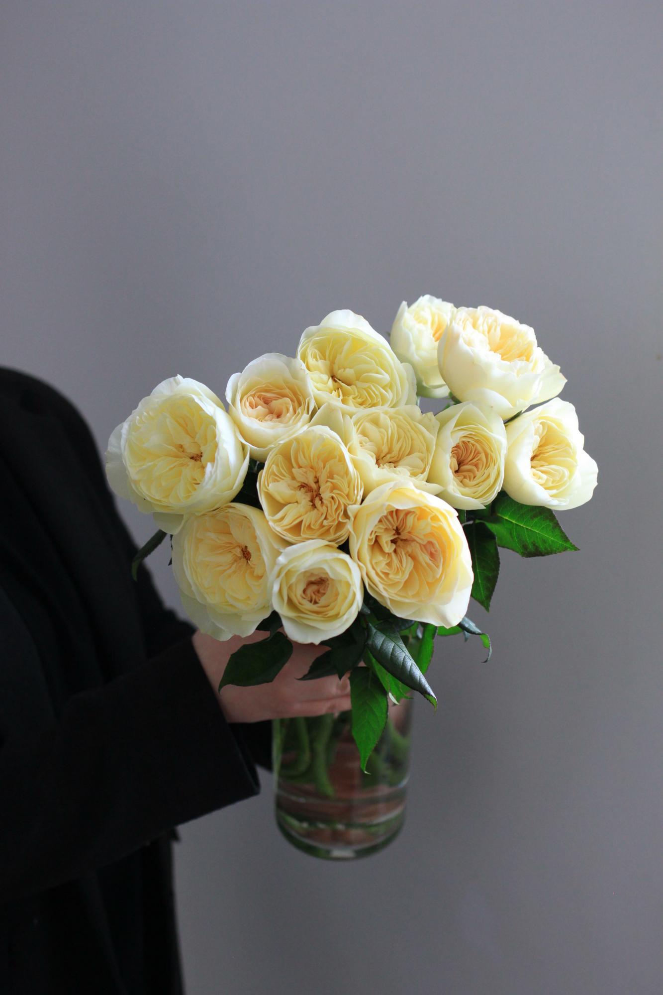 Моно пионовидных роз Леонора