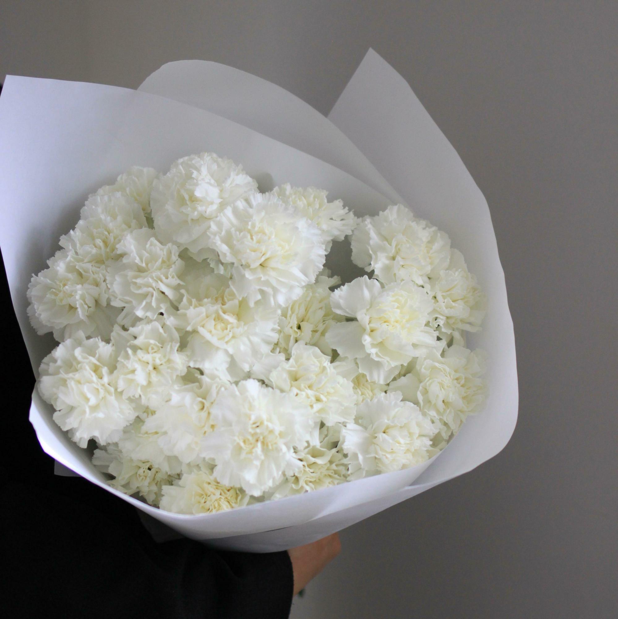 Моно из белых  гвоздик