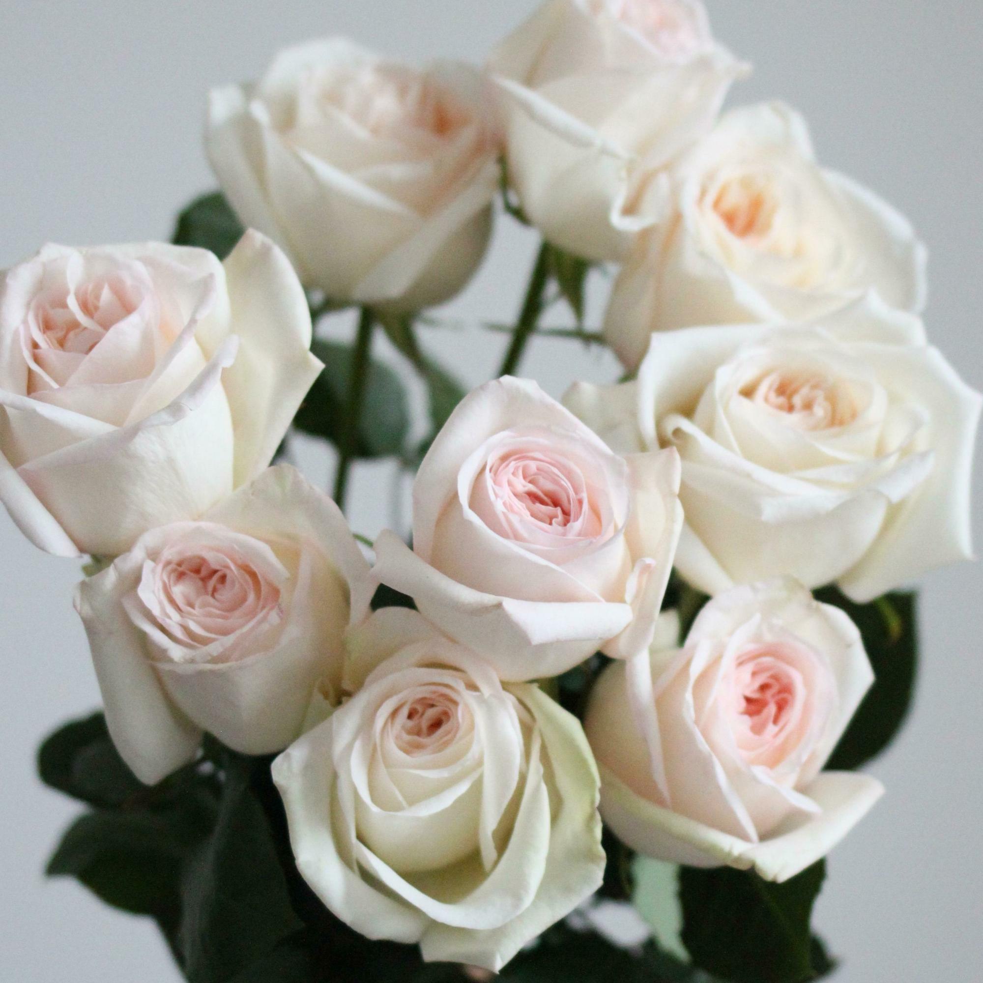 Букет пионовидных ароматных роз