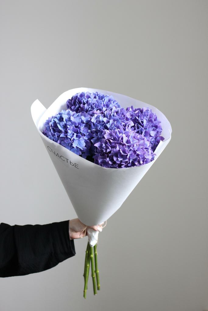 Моно гортензий