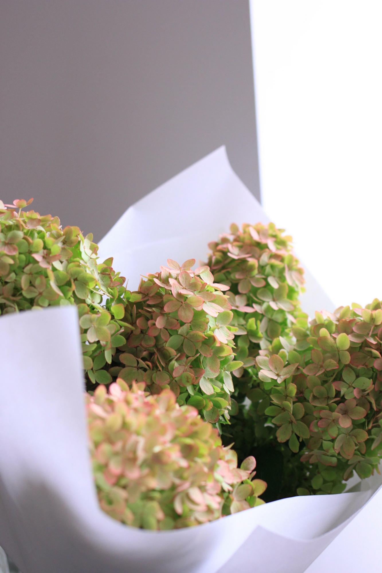 Моно гортензий