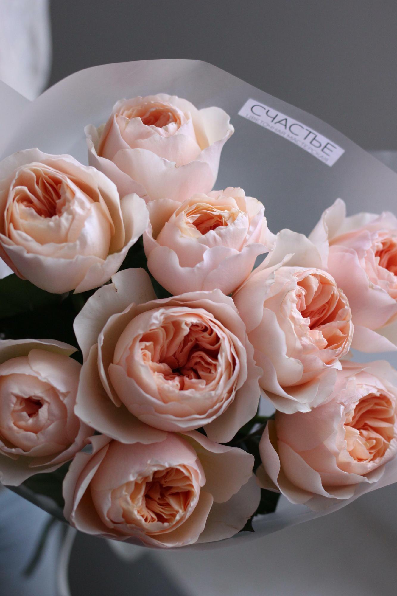 Букет пионовидных роз Джульетта