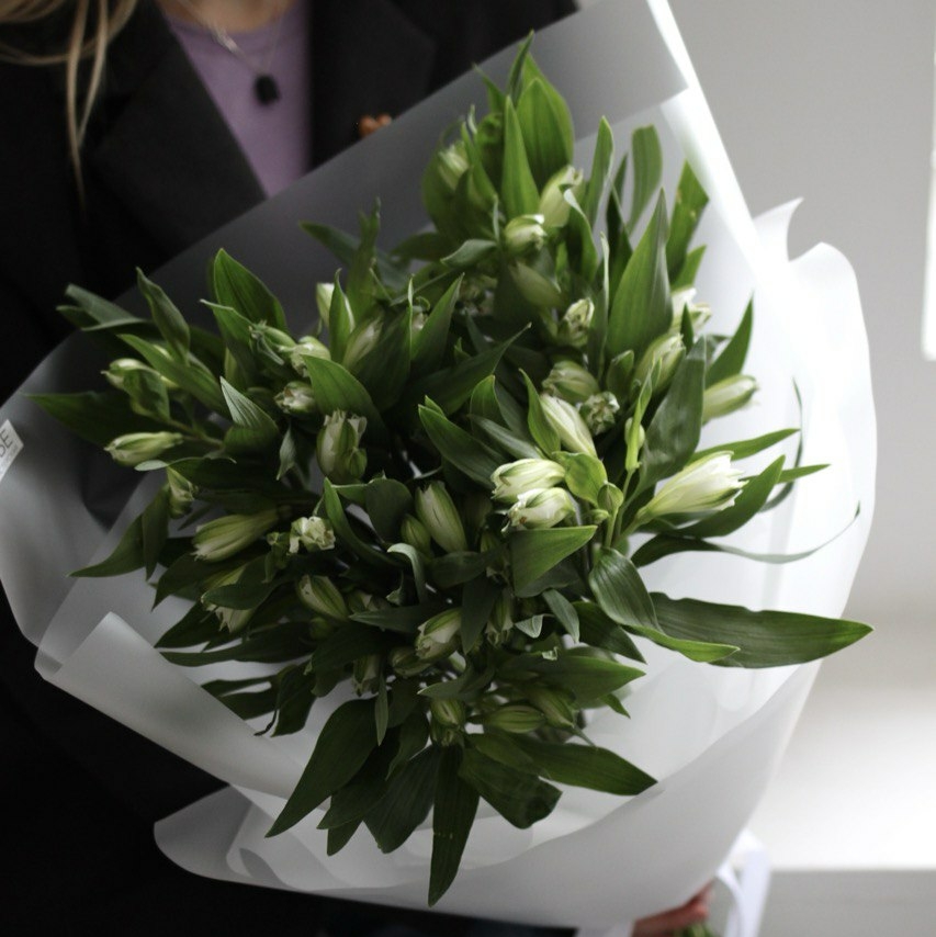 Моно альстромерий