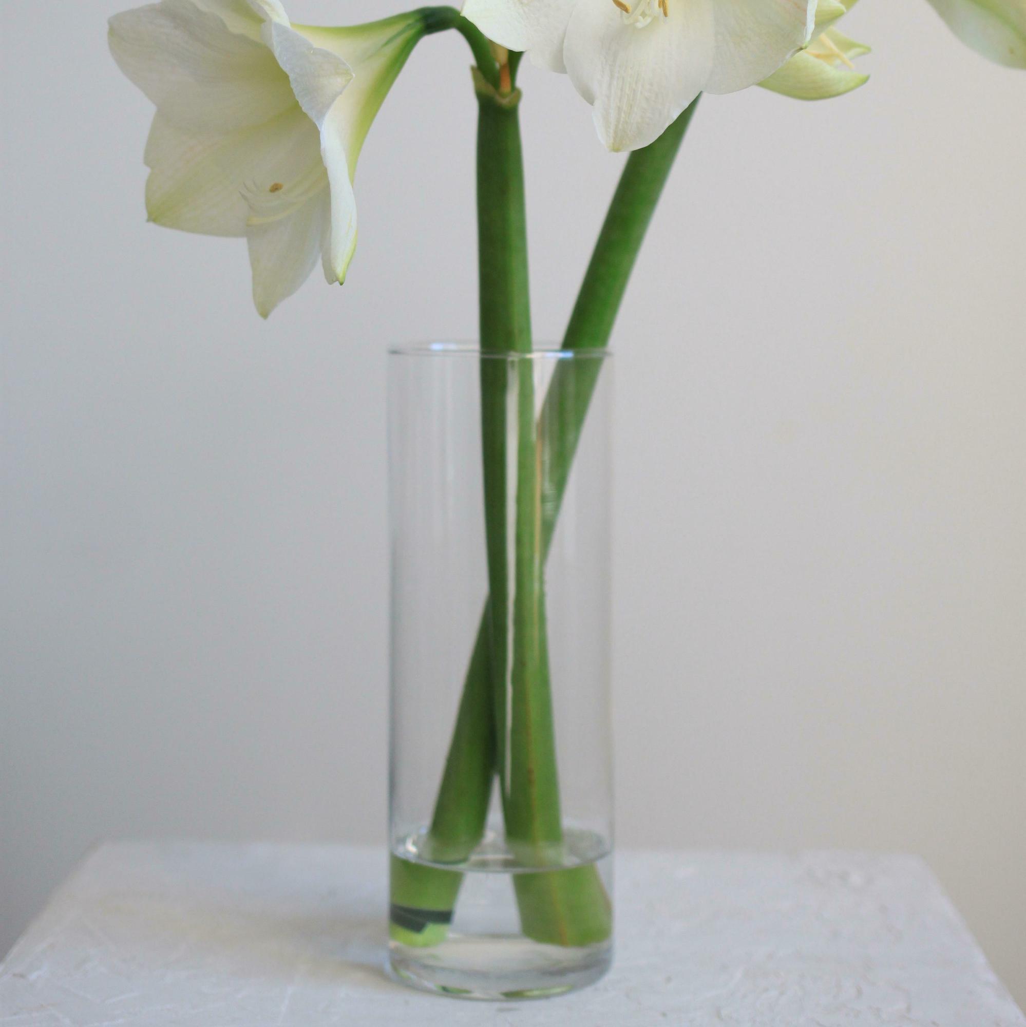 Ваза цилиндр