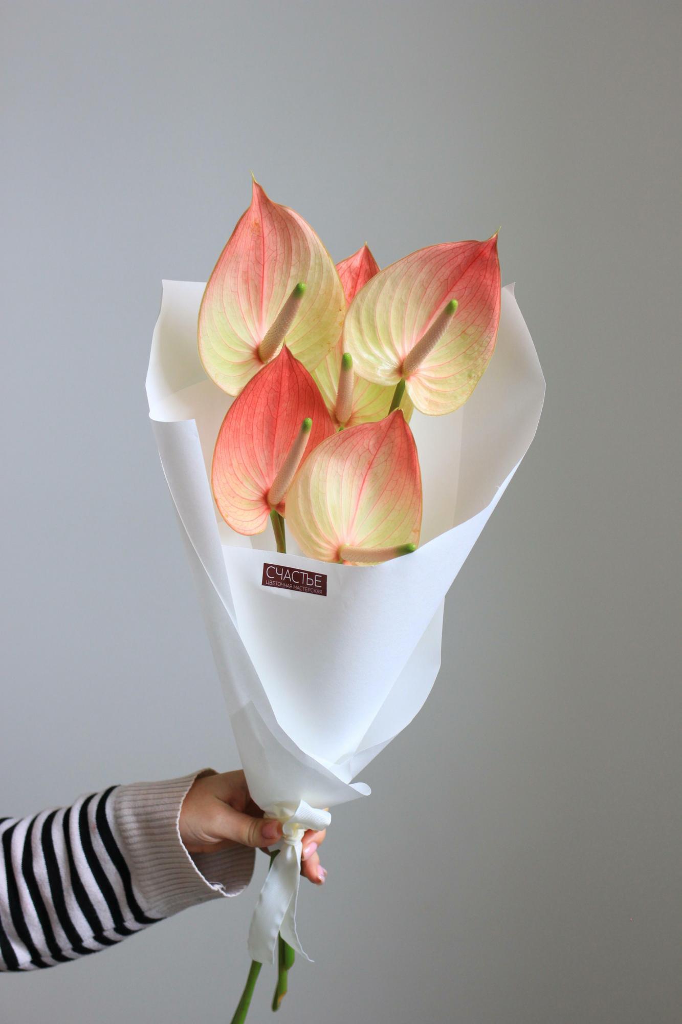 Букет антуриумов