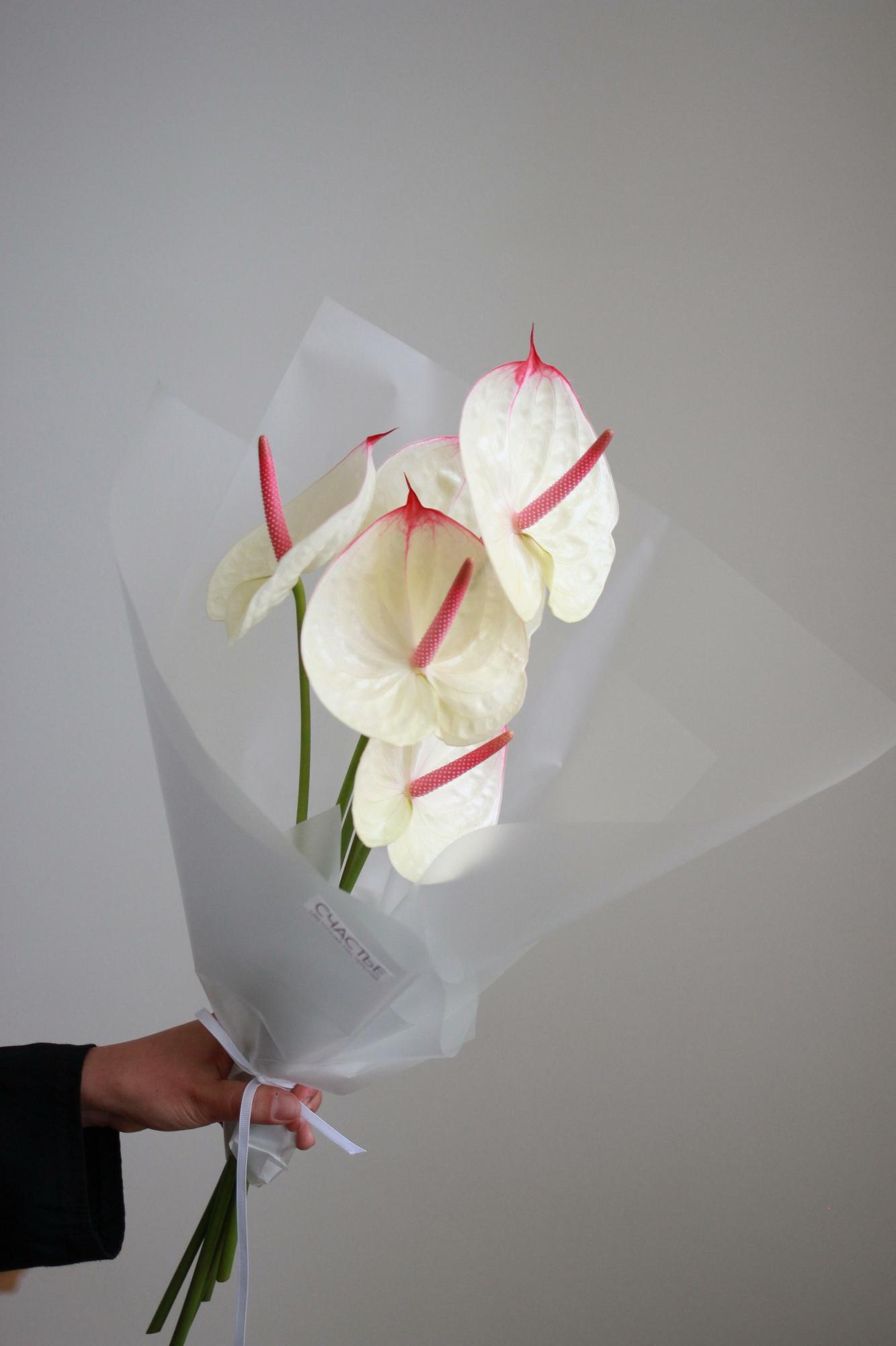 Букет антуриумов