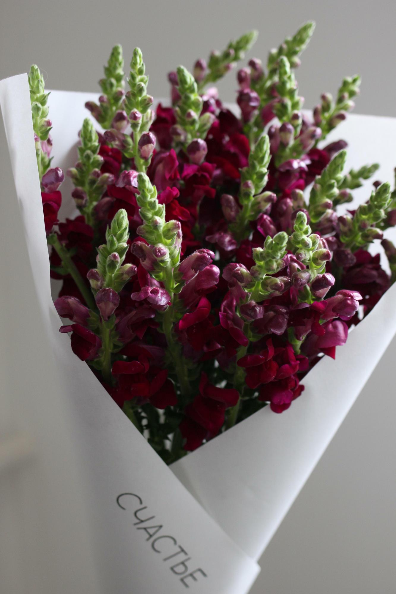 Букет леувенбеков