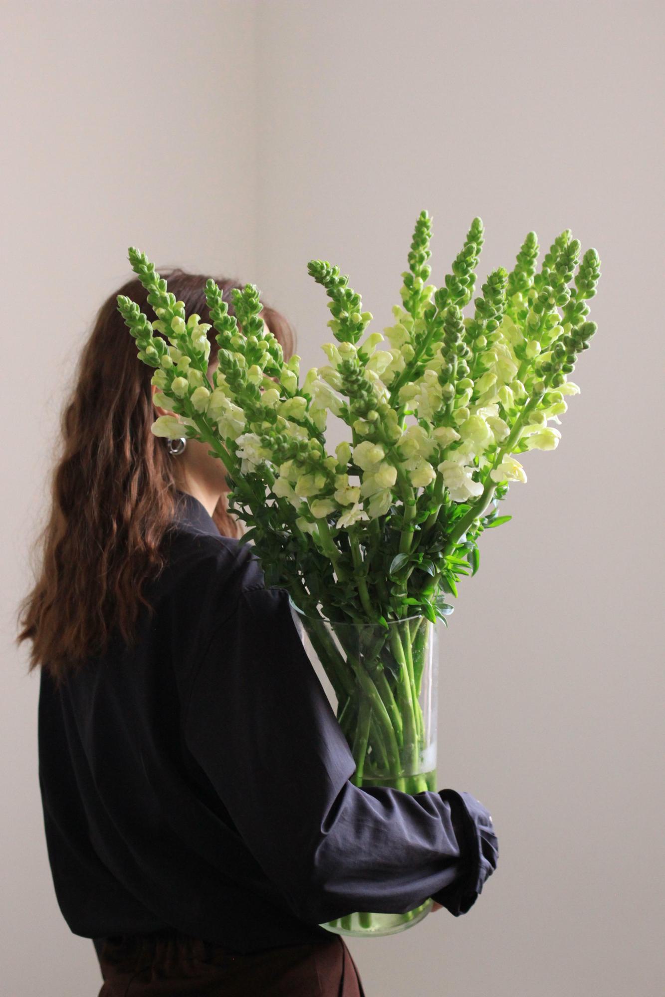 Букет леувенбеков