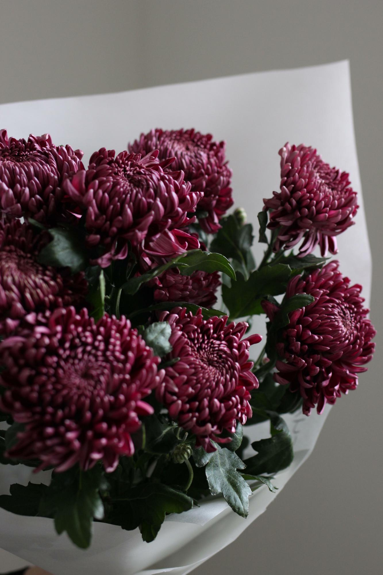 Монобукет хризантем бигуди