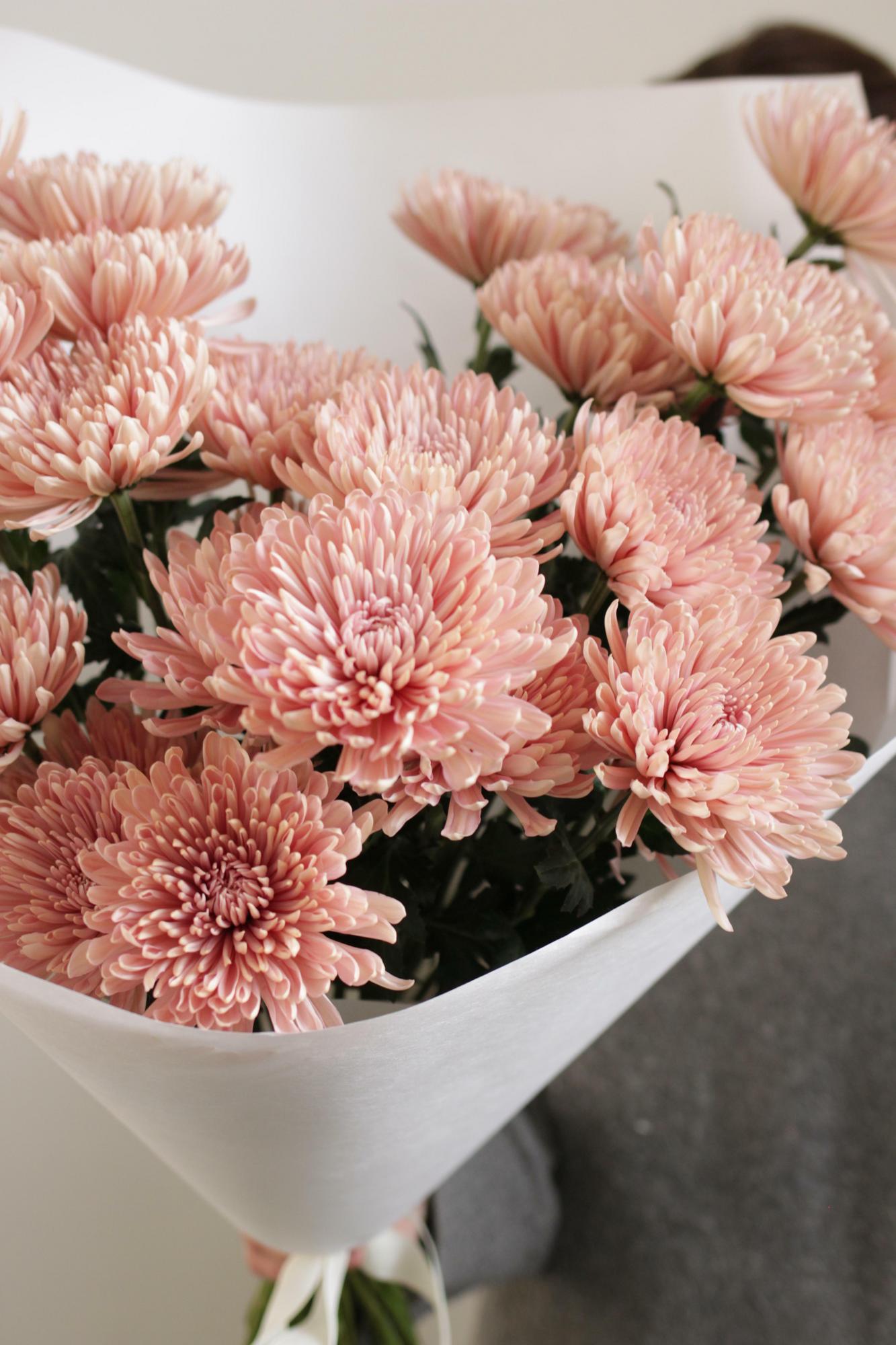 Монобукет нежных хризантем