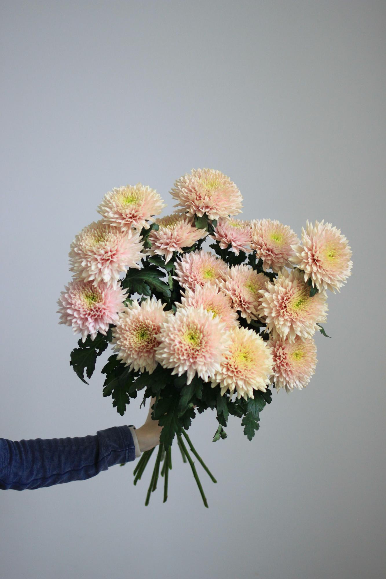 Монобукет нежных хризантем