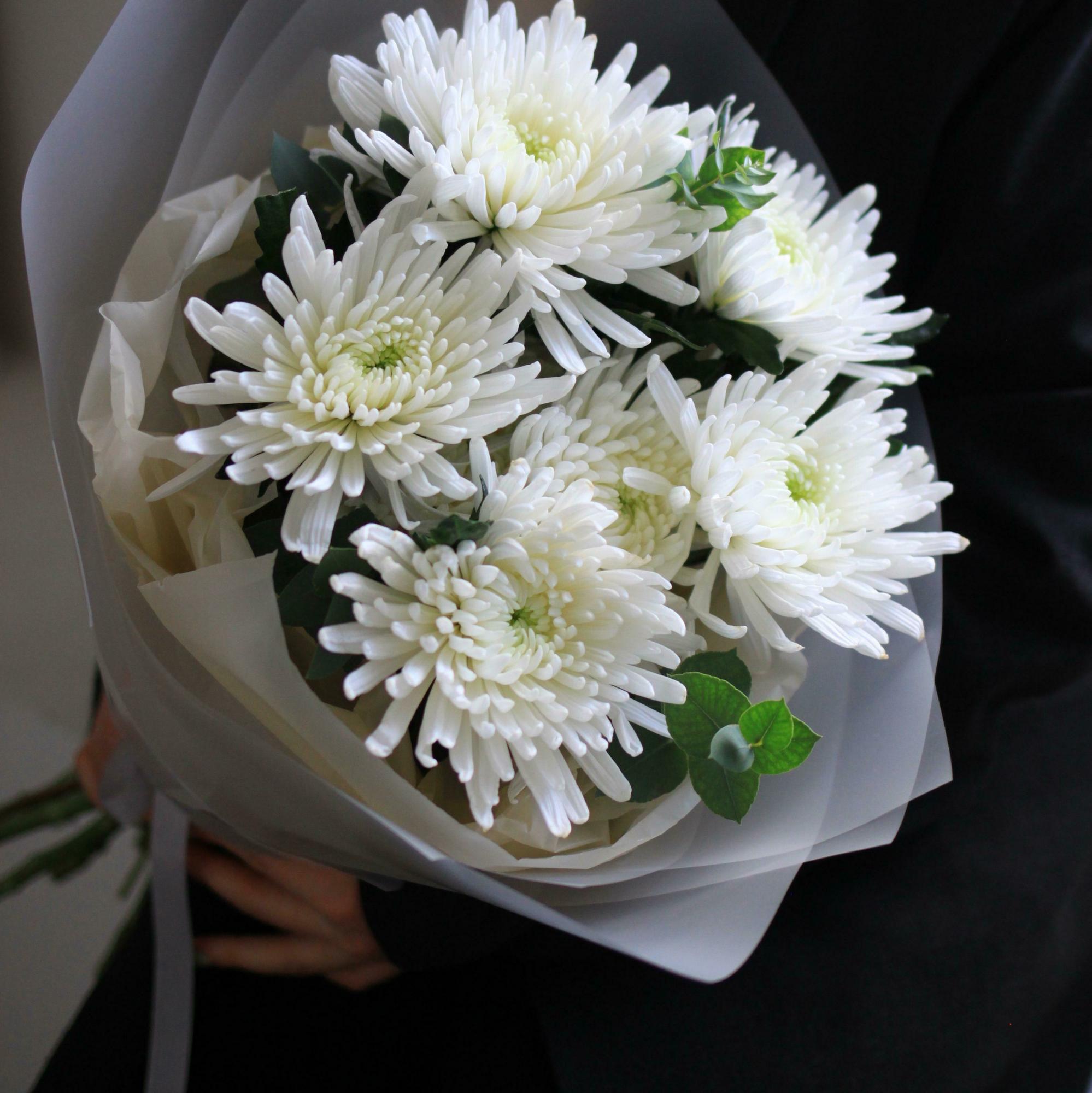 Белоснежные хризантемы