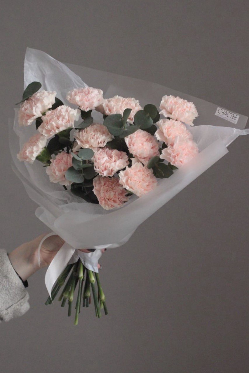 Моно розовых гвоздик с эвкалиптом