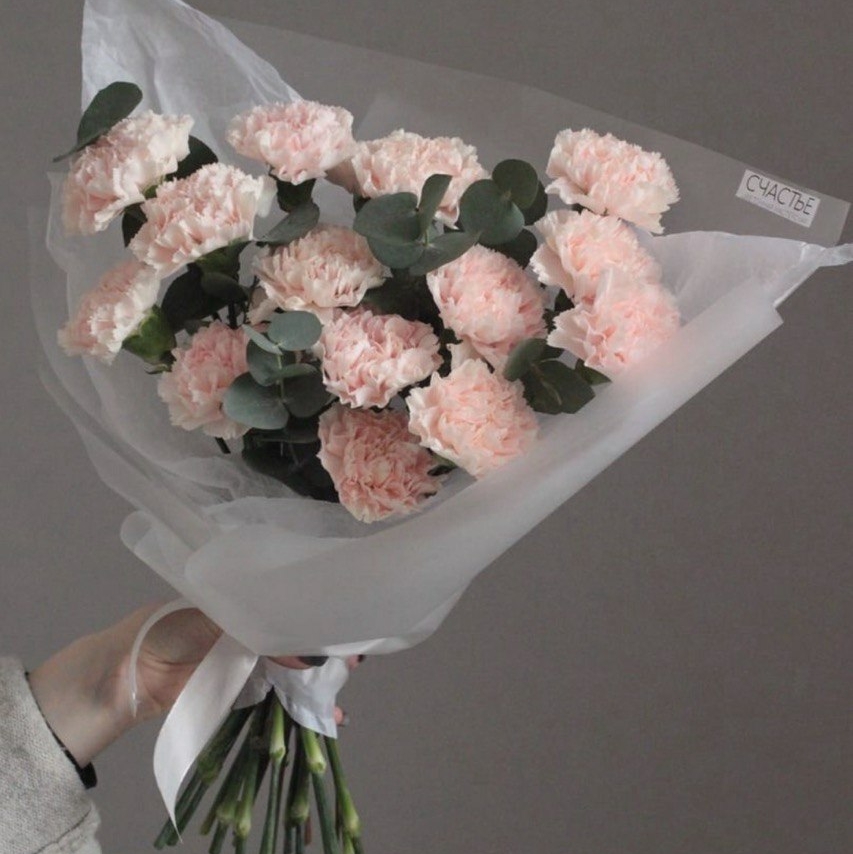 Моно розовых гвоздик с эвкалиптом