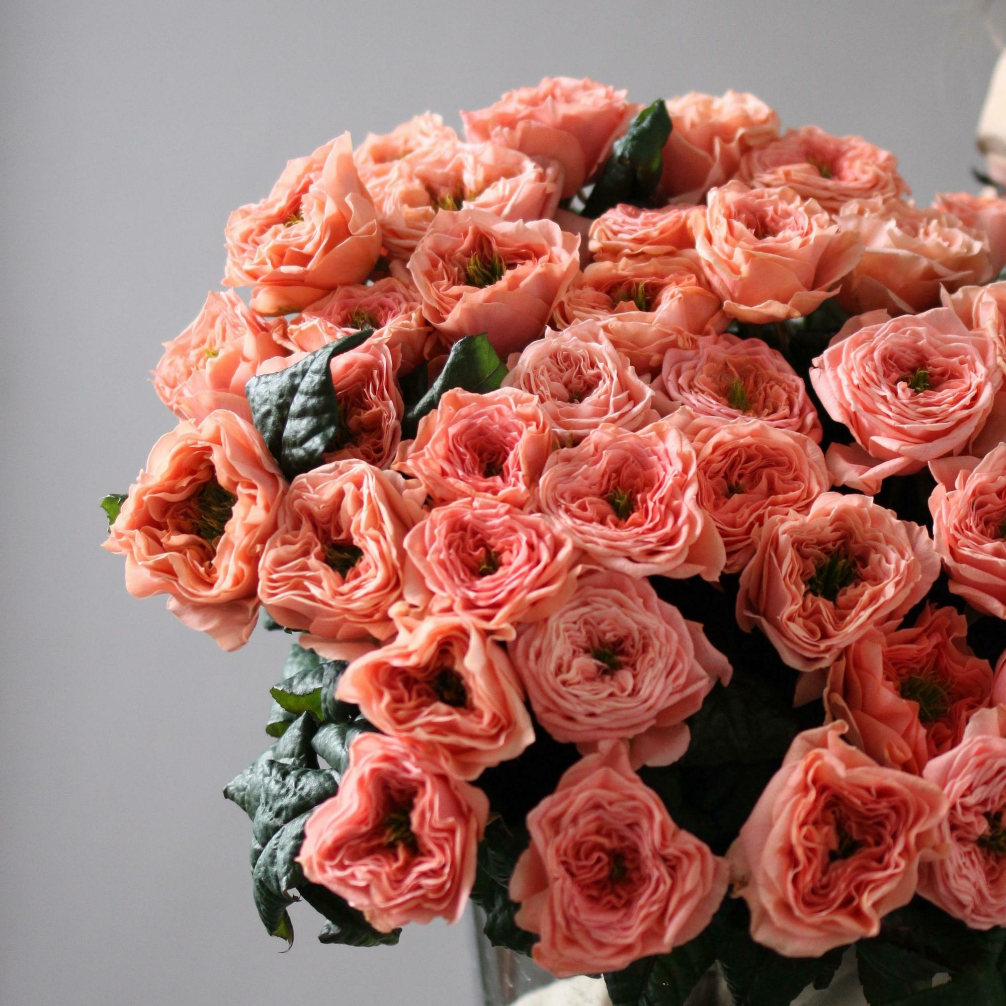 Моно роз Питер Парк