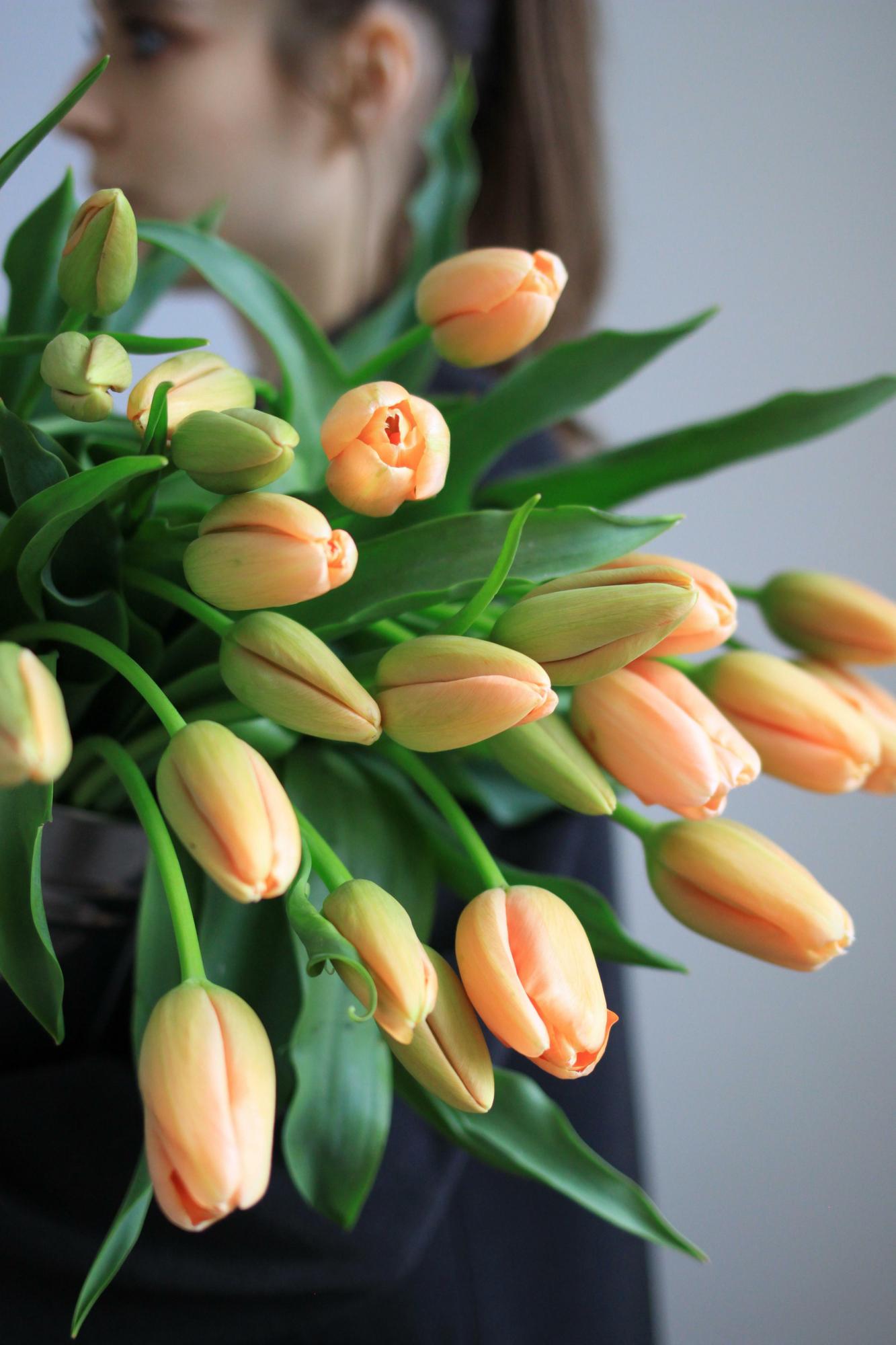 Букет французских тюльпанов