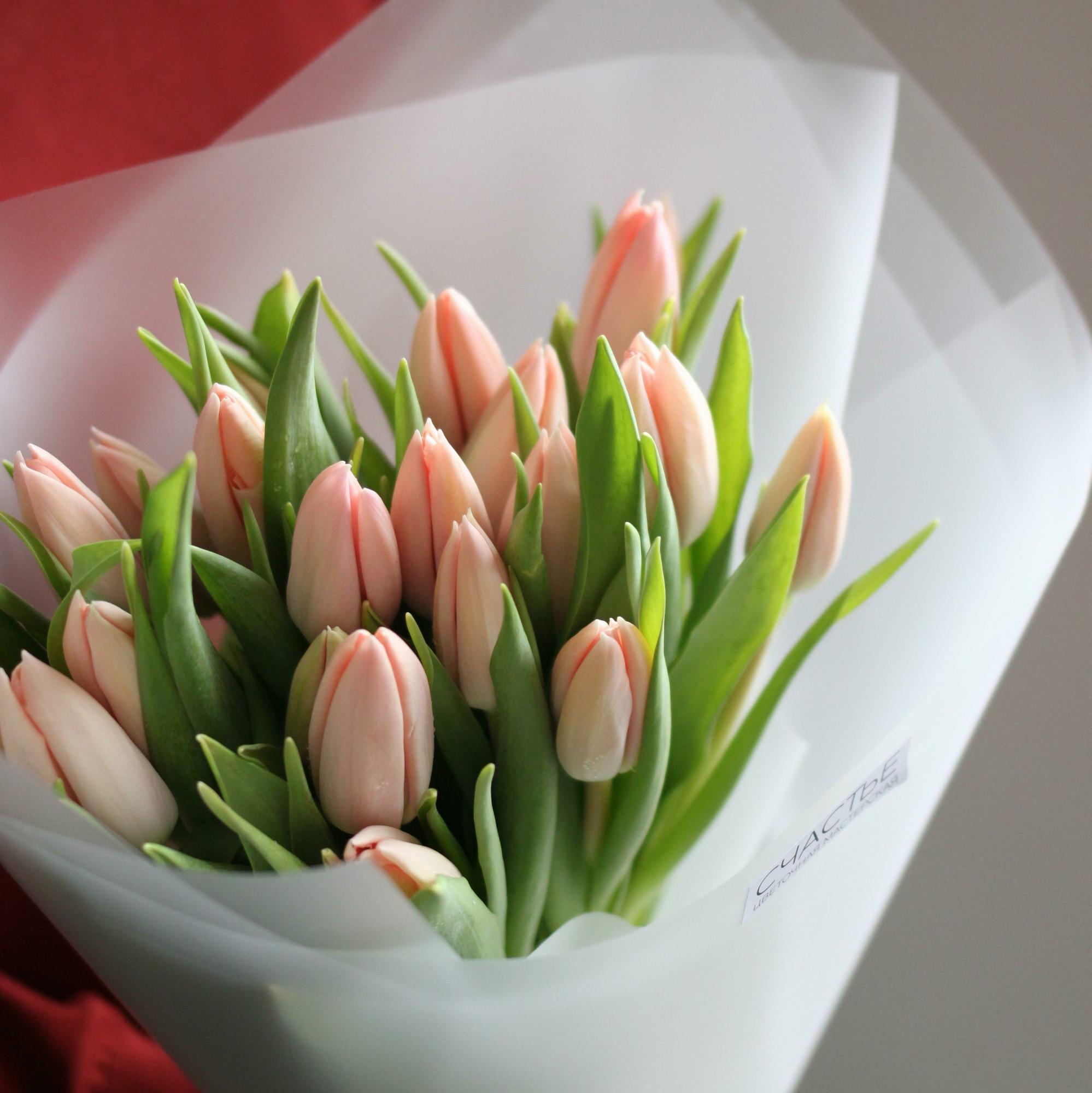 Лососевые тюльпаны