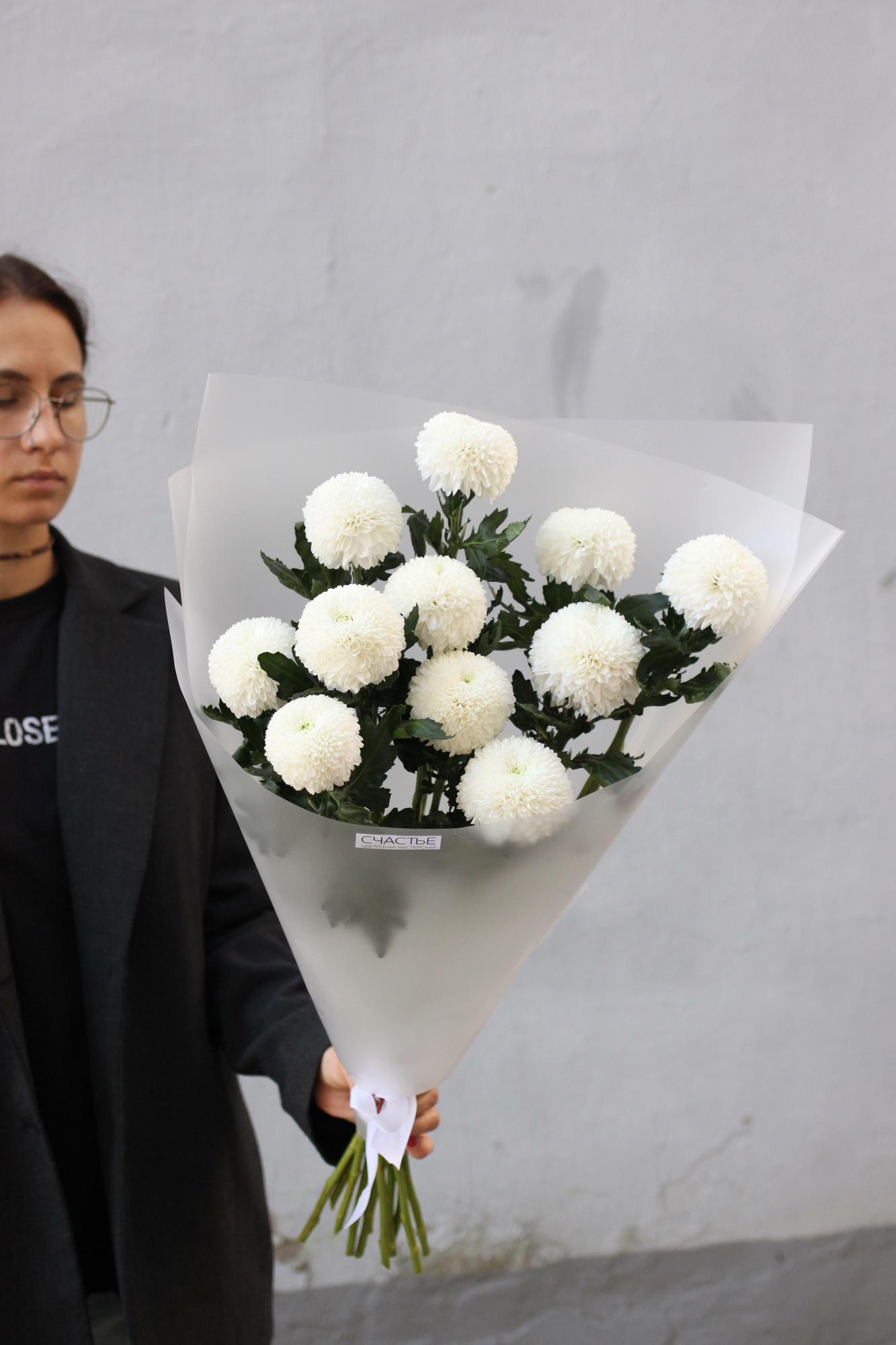 Пушистые хризантемы