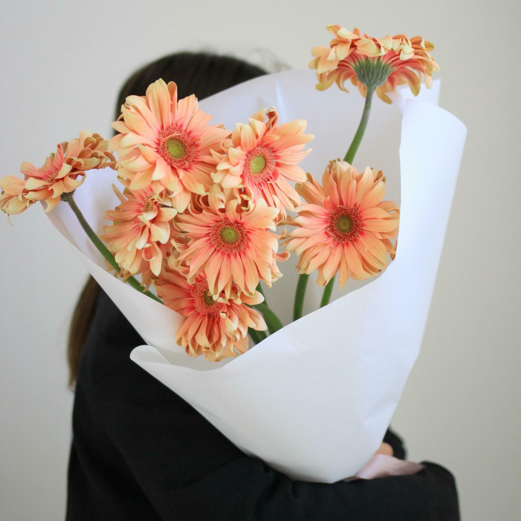 Моно гербер паста росата