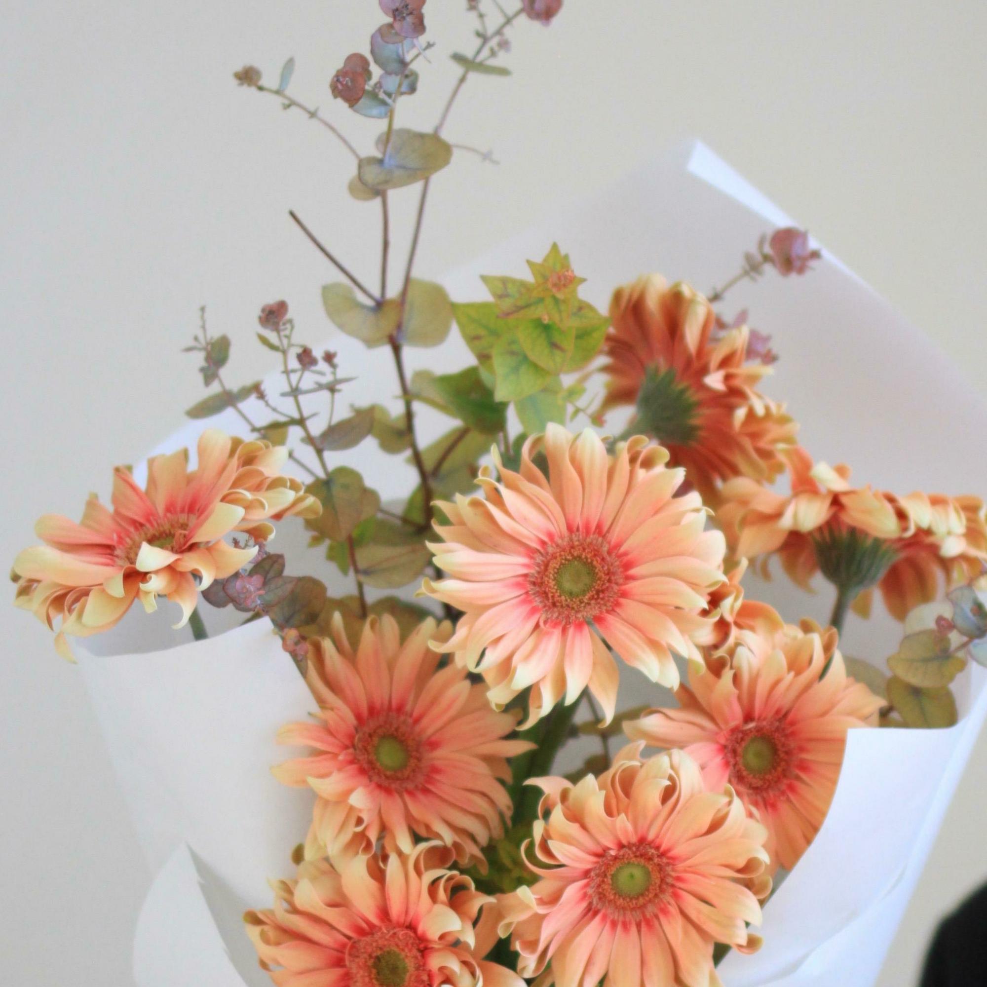 Моно гербер паста росата с эвкалиптом