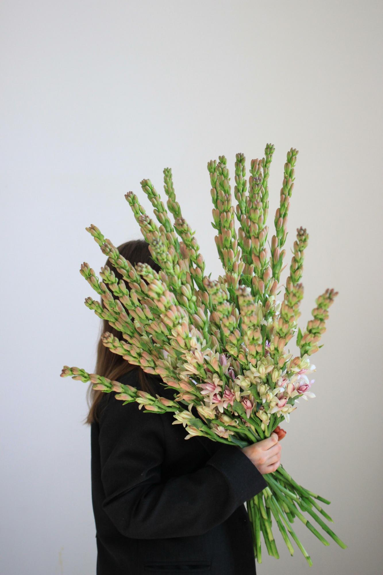 Полиантес Тубероза