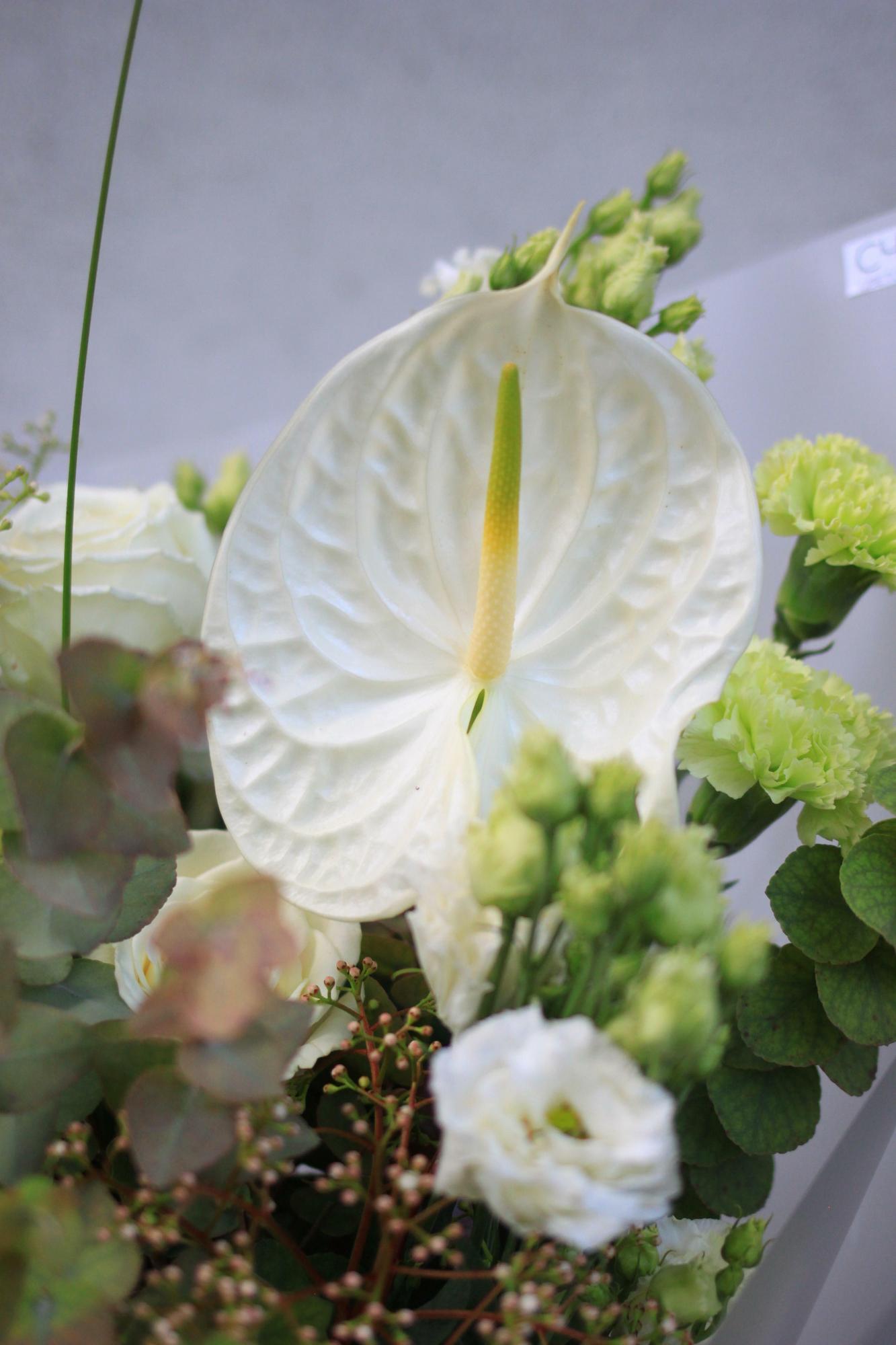 Сезонный бело-зеленый букет