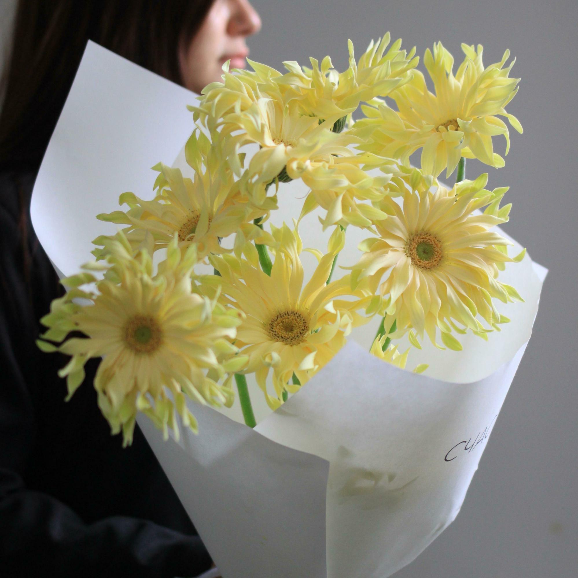 Моно гербер паста карбонара