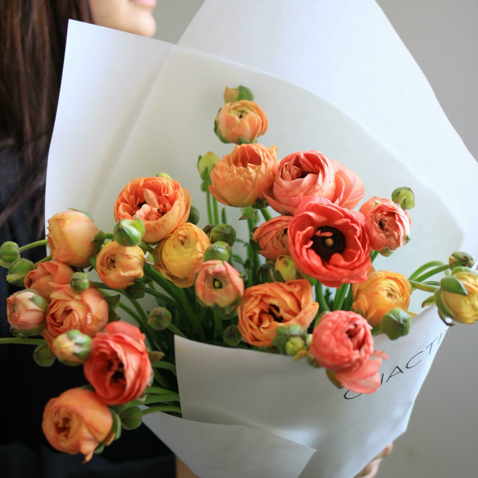 Моно персиковых ранункулусов