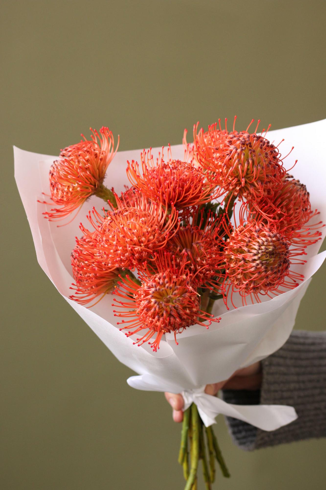 Моно нутанов