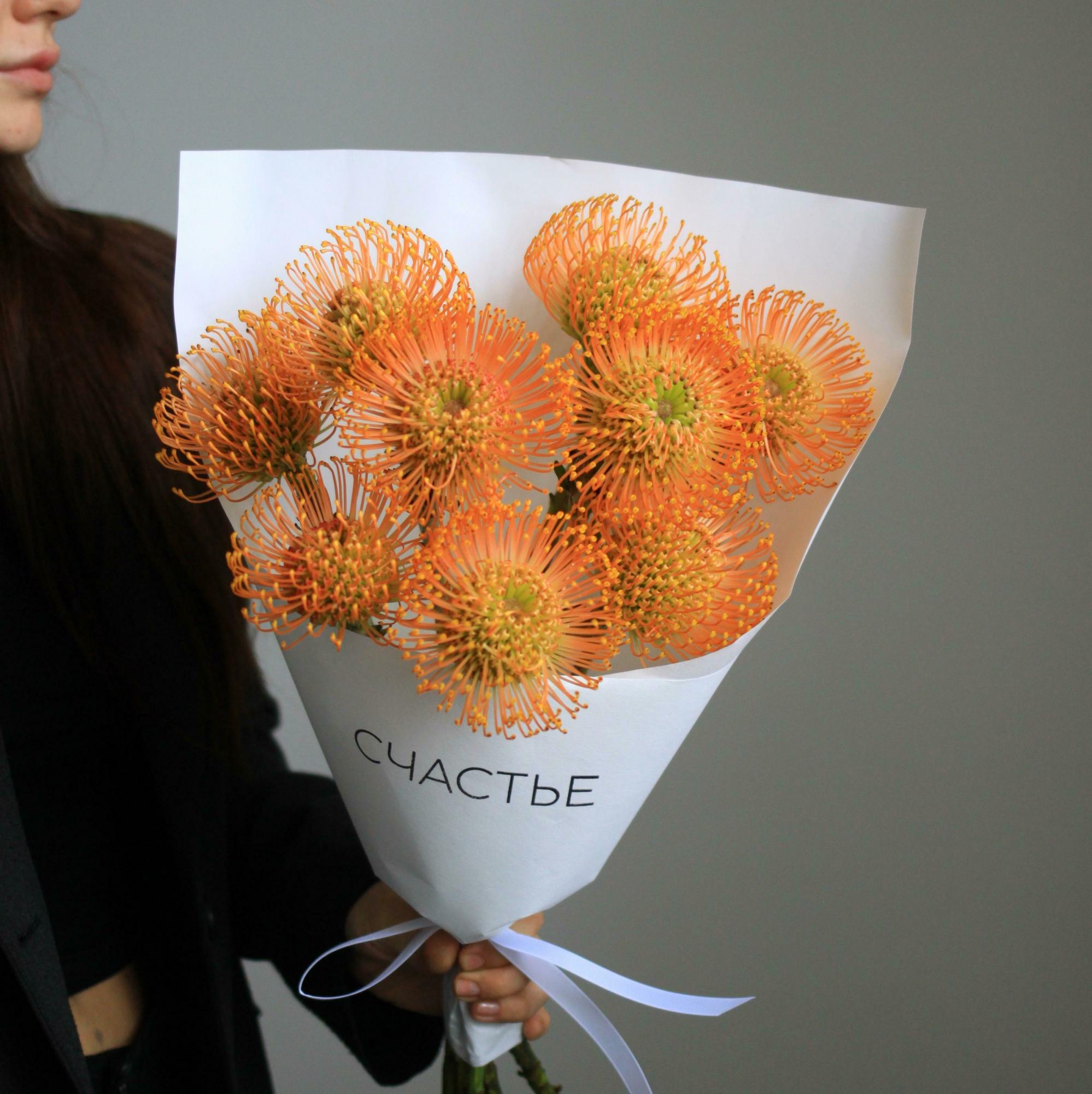 Моно нутанов