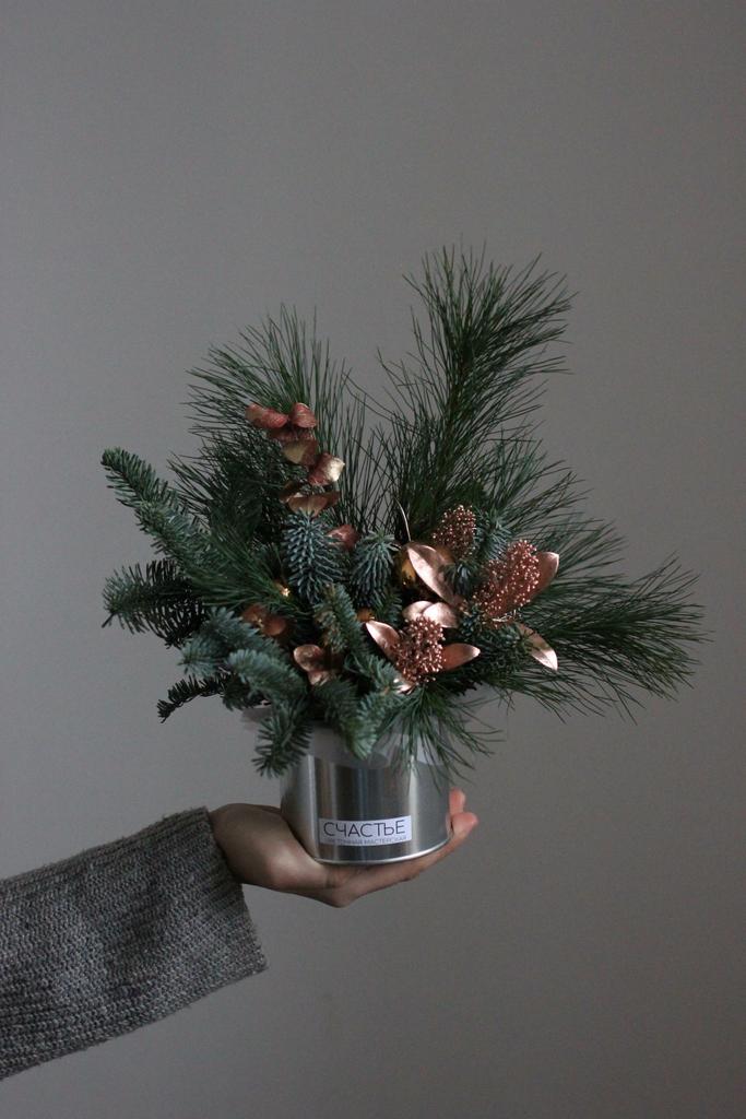 Композиция Хвойная симфония