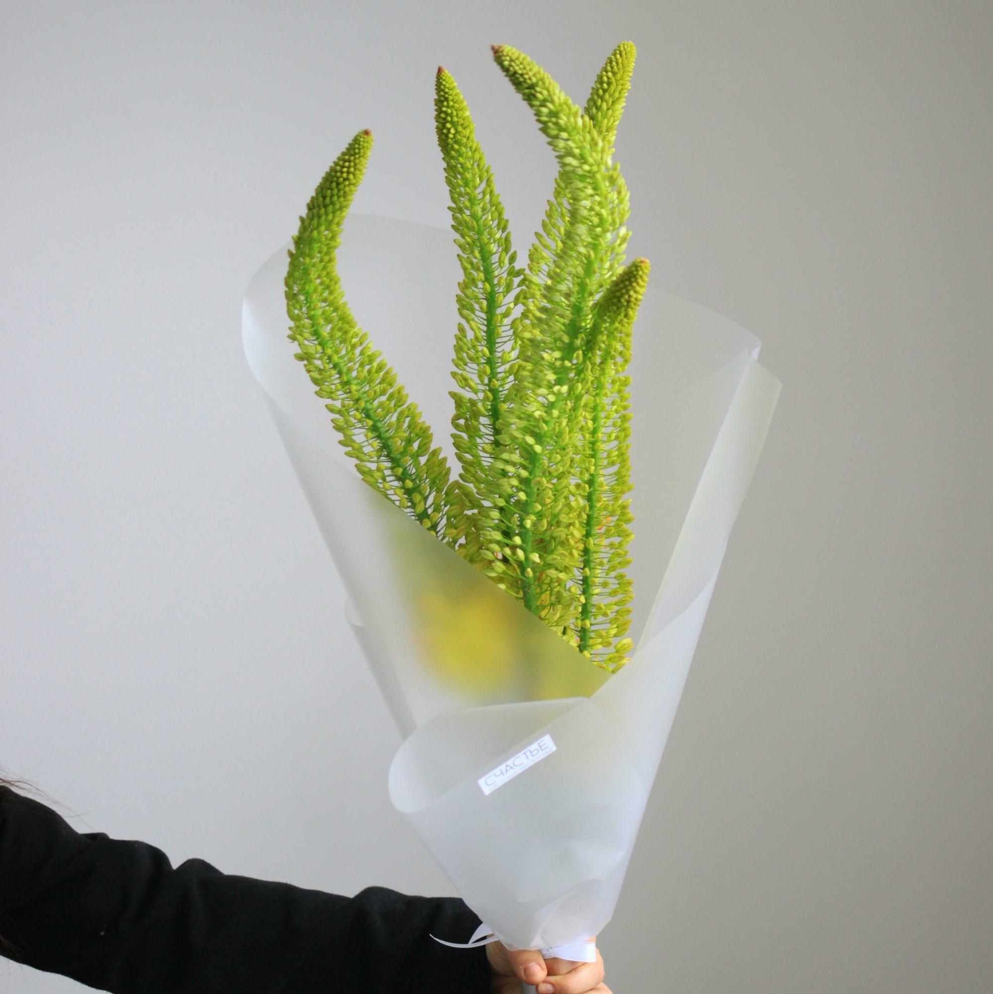 Букет из эремуруса