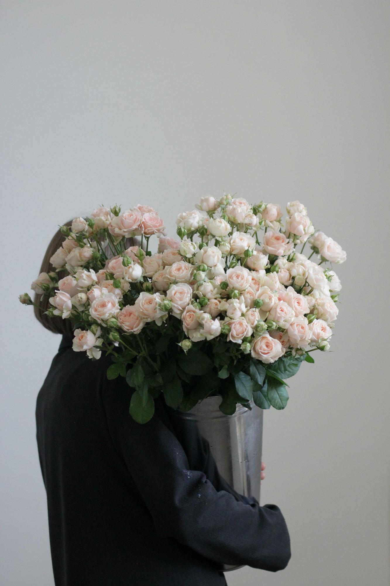 Моно кустовых роз