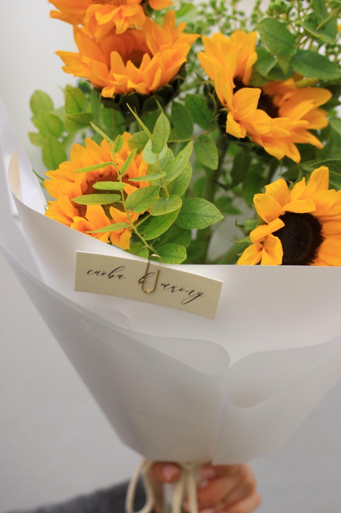 Солнце в зелени