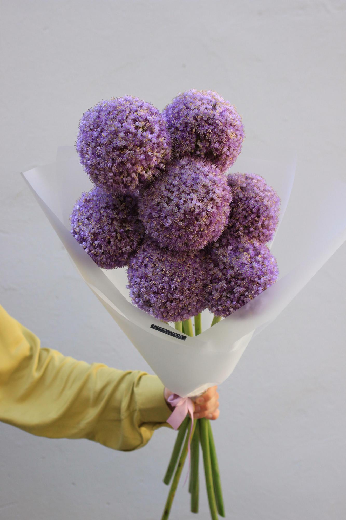 Букет из гигантского аллиума