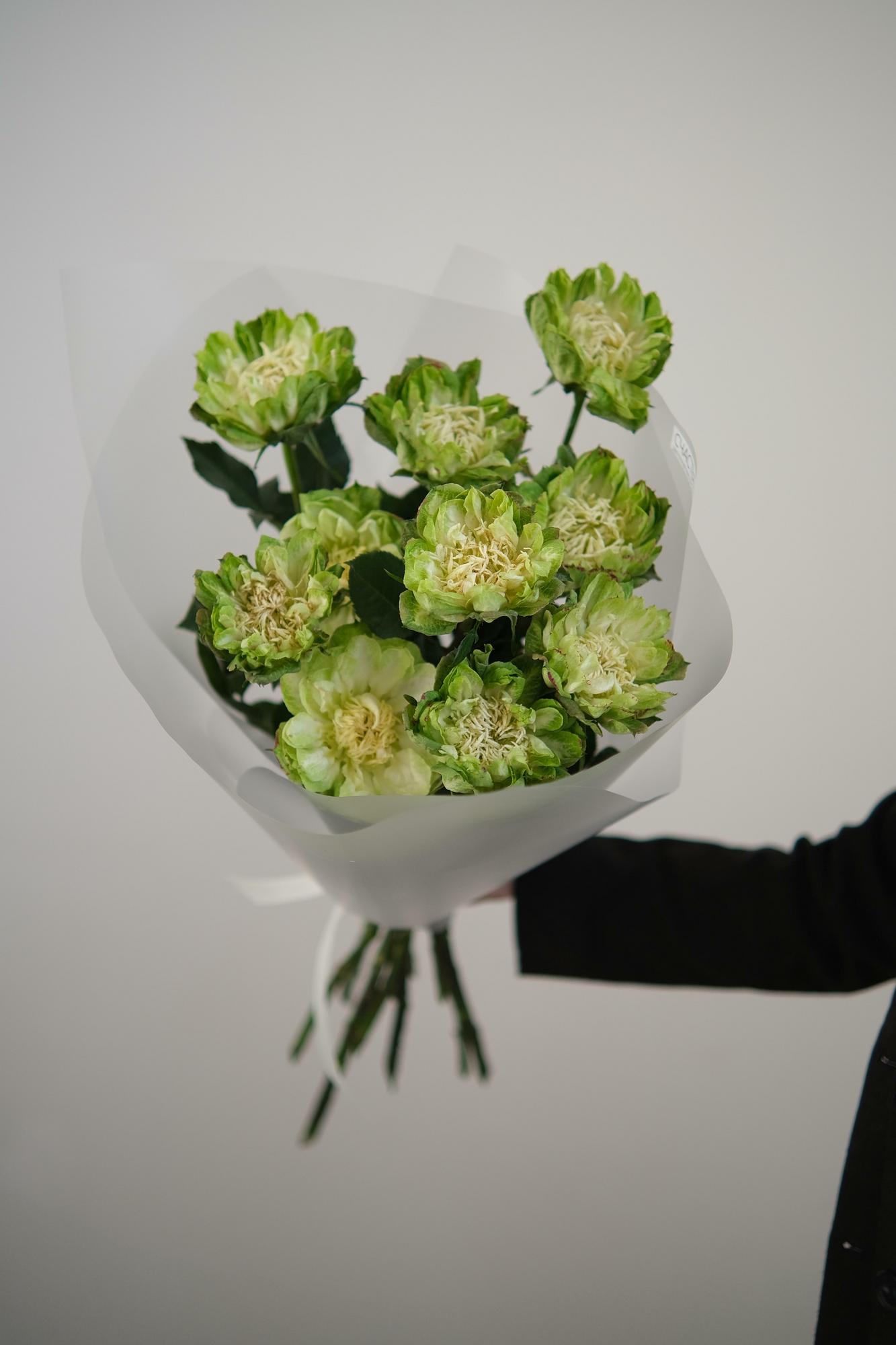 Моно роз вегги