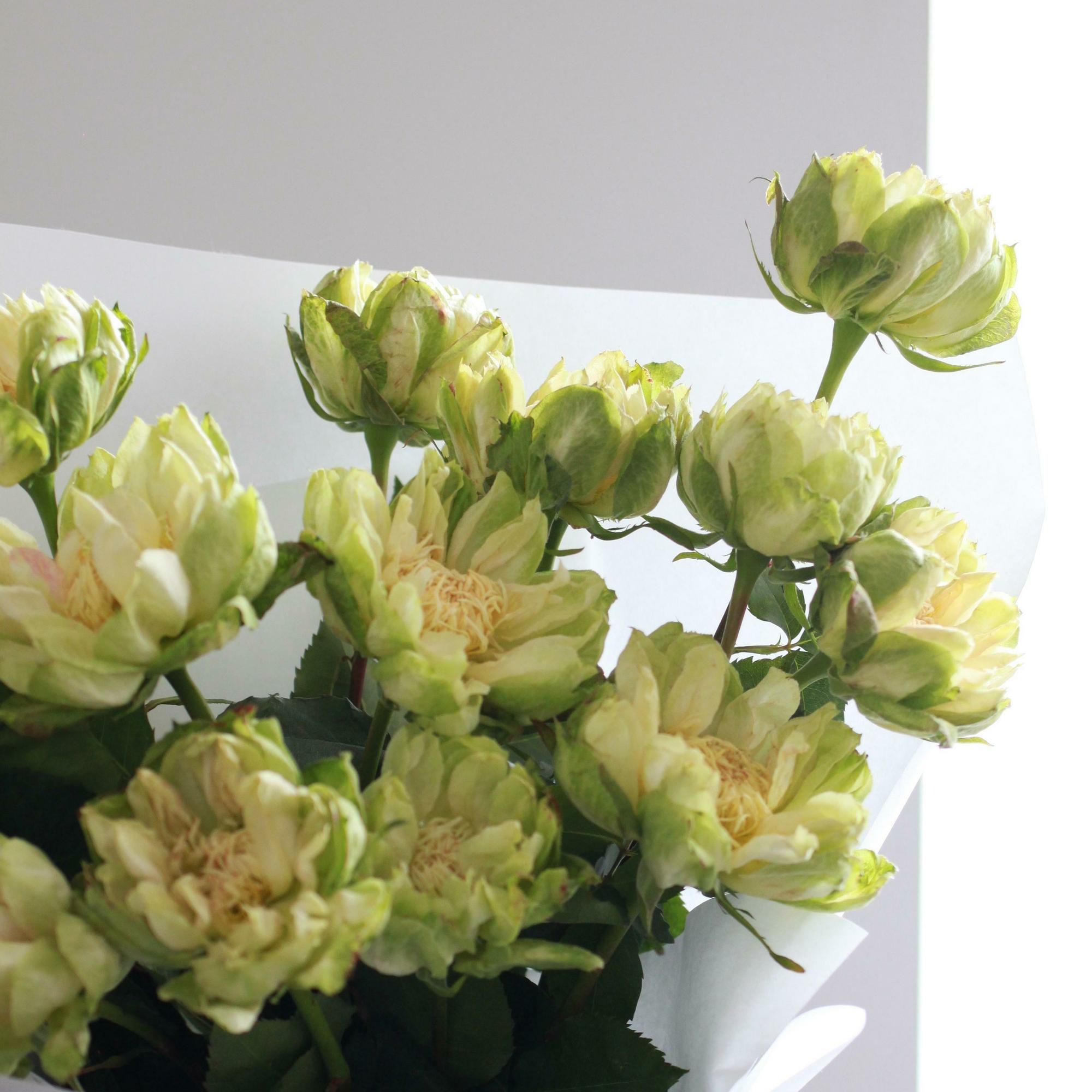 Моно роз вегги