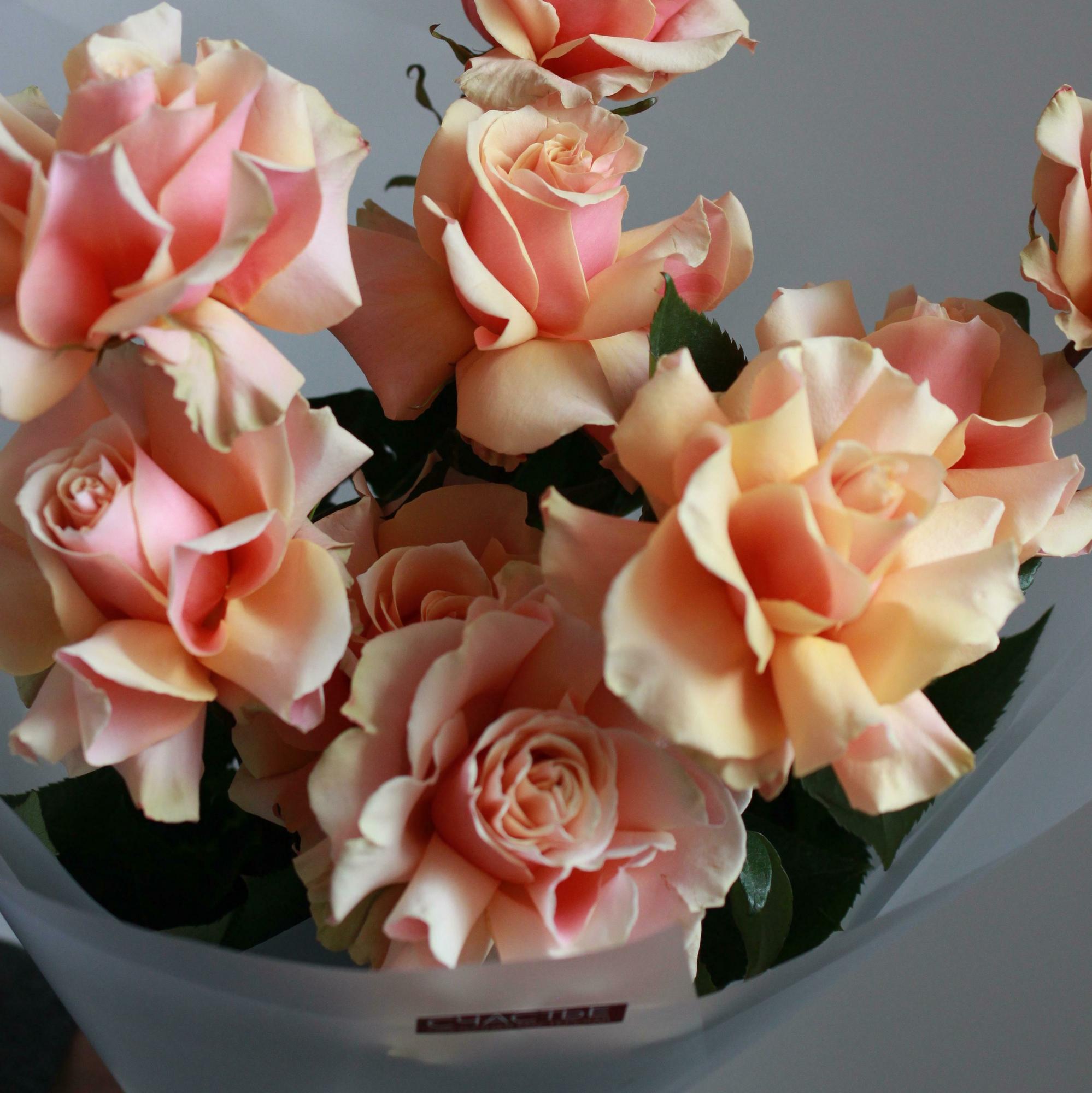 Моно роз пинк амаретто