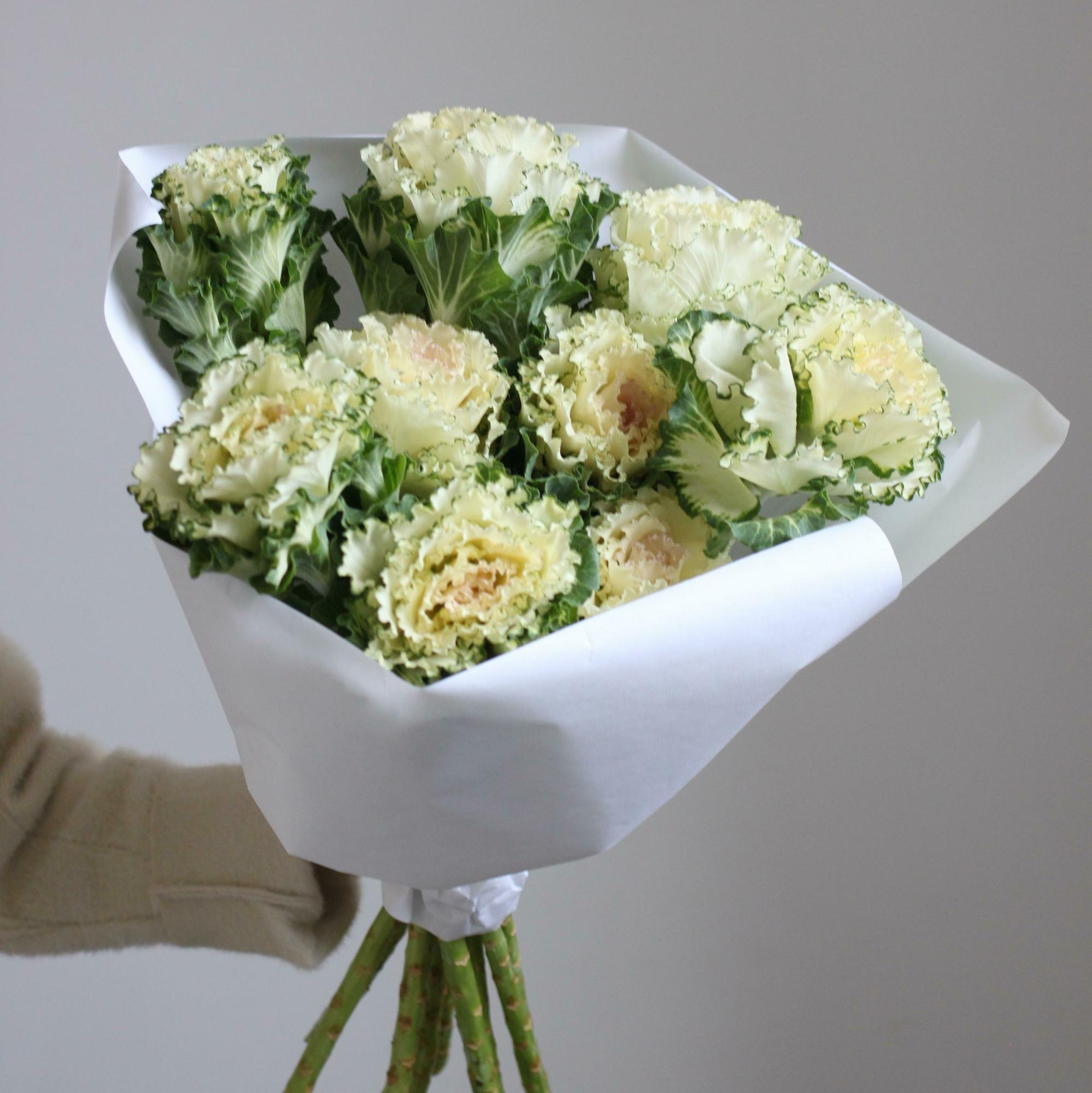 Моно из брассики