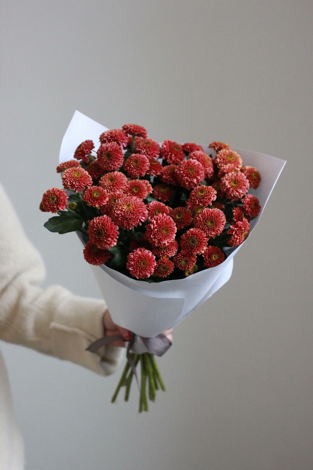 Пышное моно кустовых хризантем