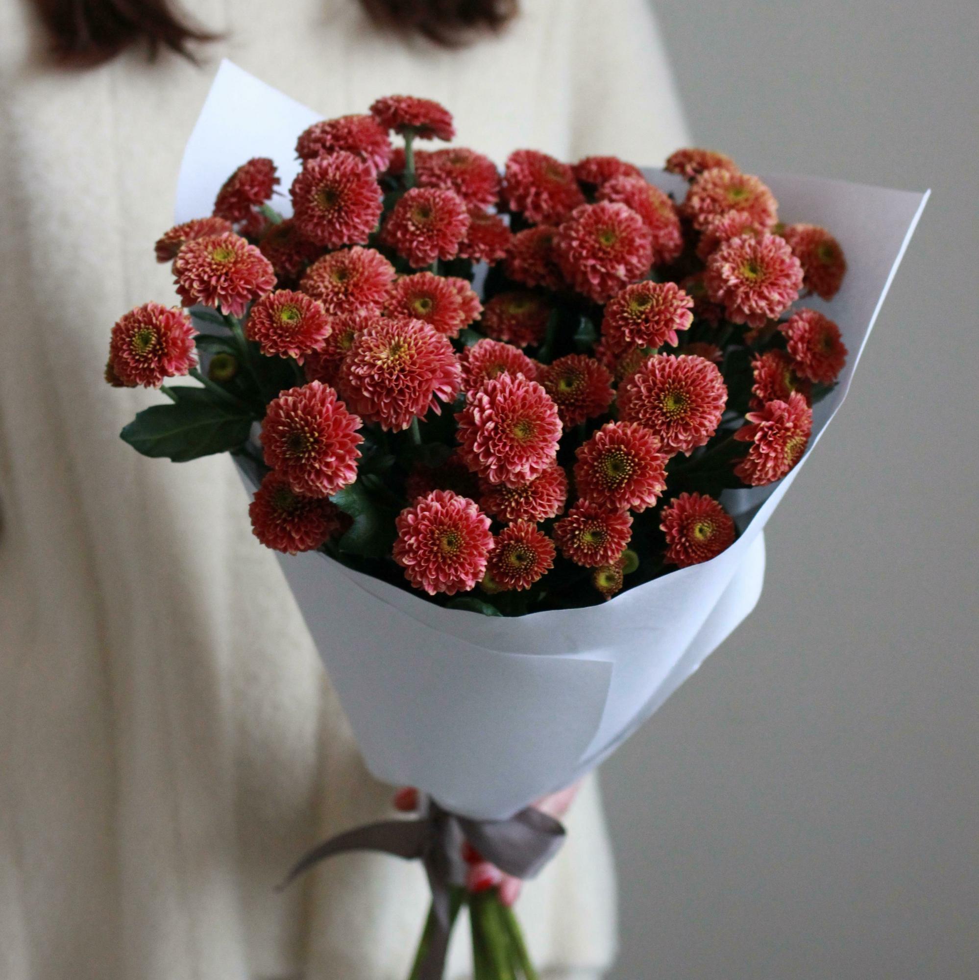 Пышное моно кустовых хризантем