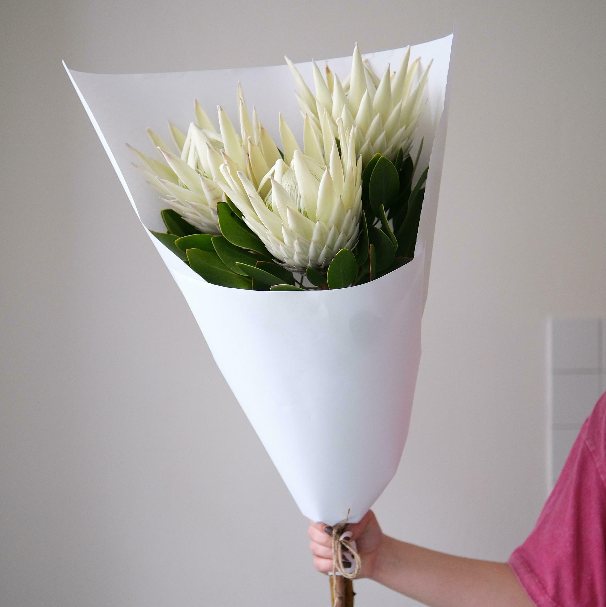 Моно протеи