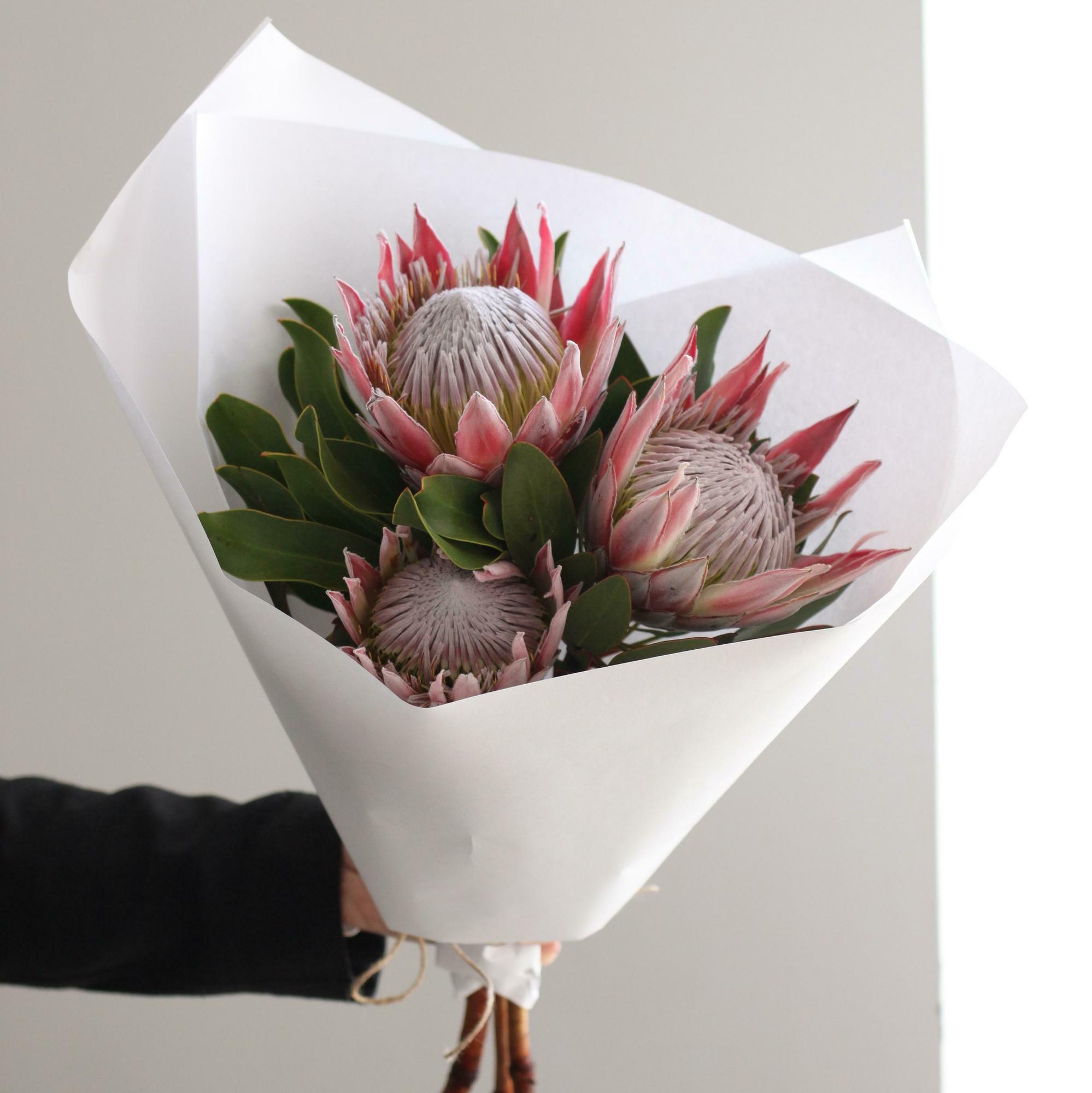 Моно протеи