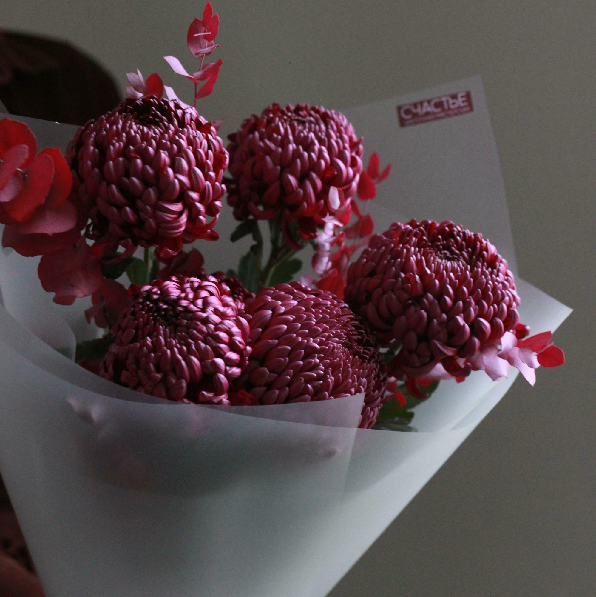 Черничные хризантемы бигуди