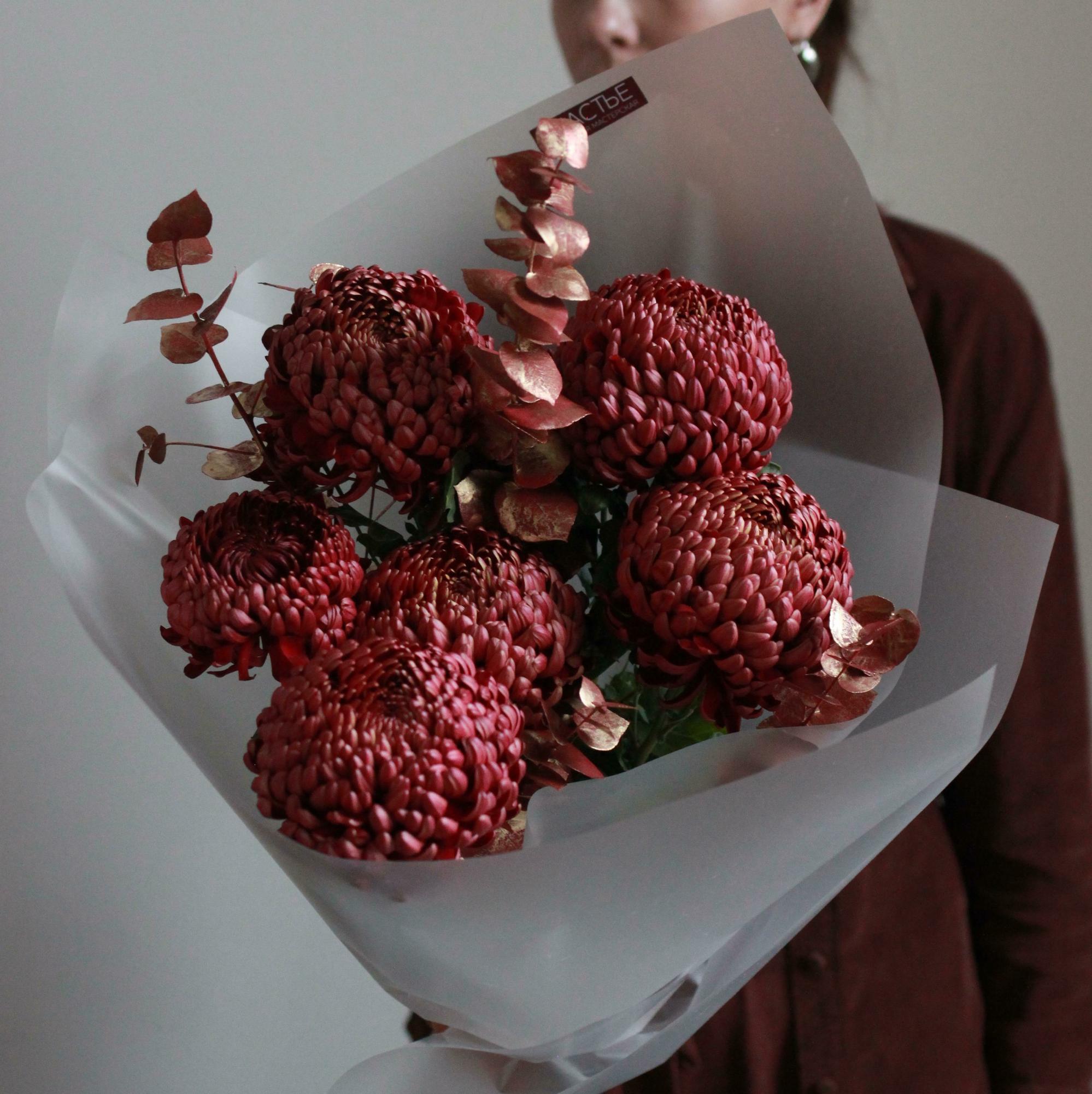 Винные  хризантемы бигуди