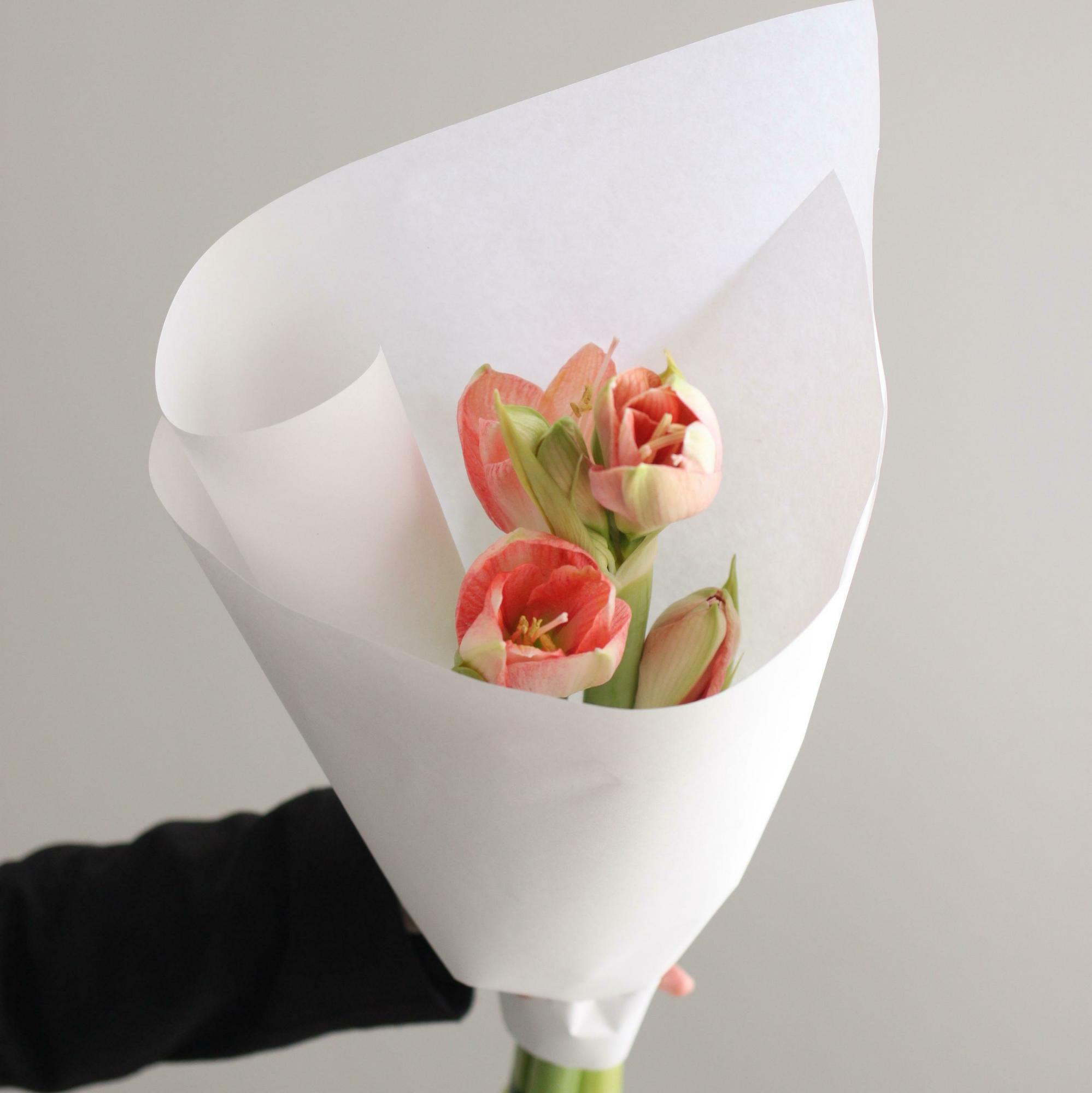 Букет амариллисов