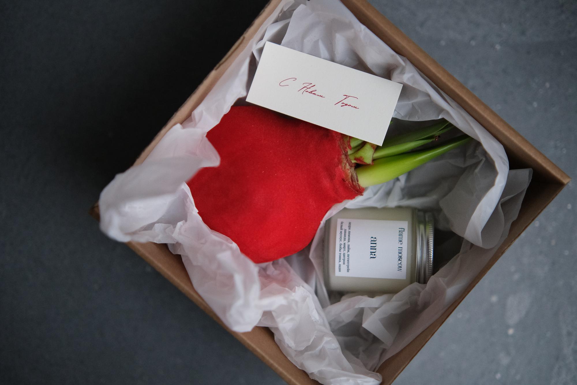 Подарочный набор с луковицей Амариллиса