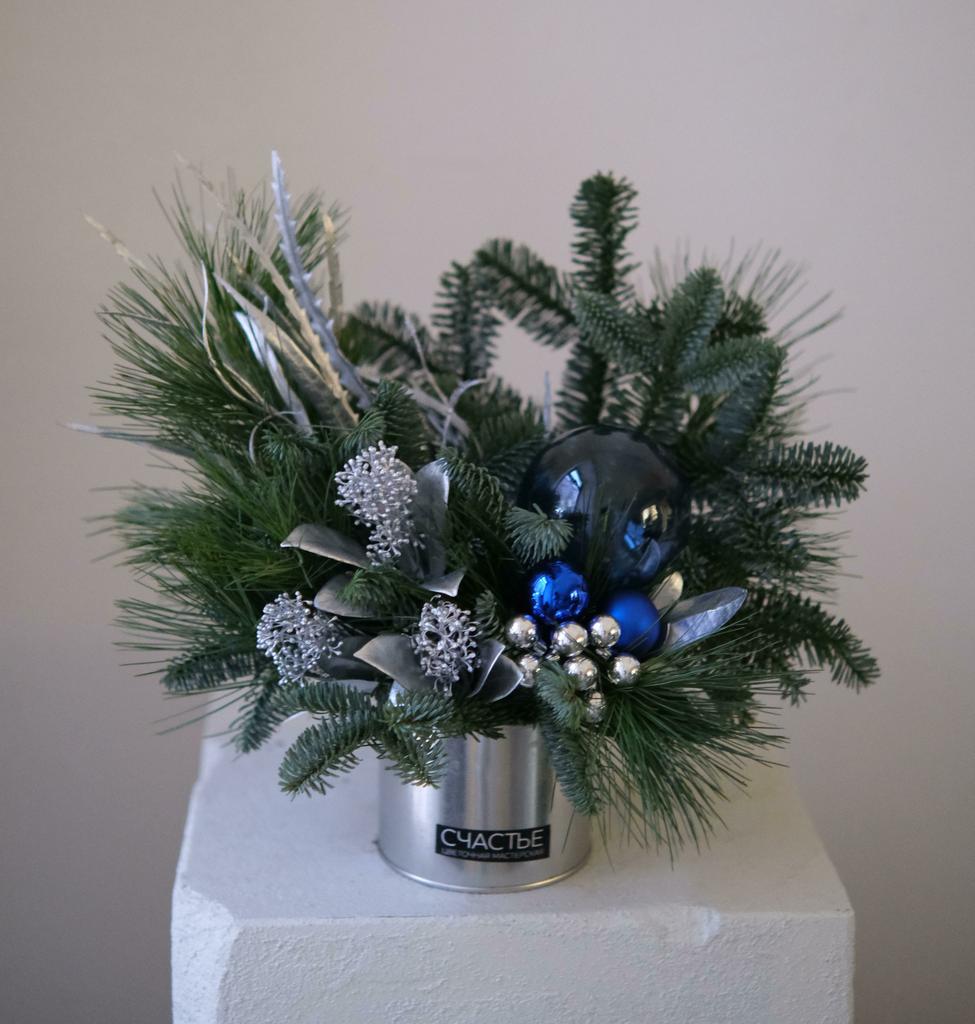 Хвойная симфония